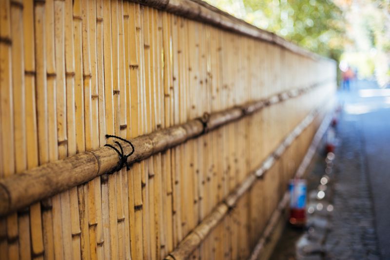 Bamboo Fence